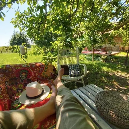 Vulcan Garden And * Kisapati