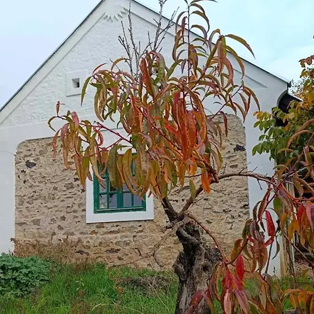 Vulcan Garden And * Kisapati