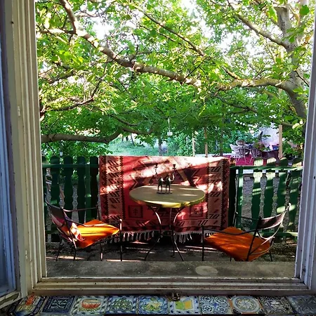 Vulcan Garden And